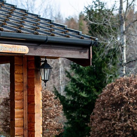 Loch Insh Chalets Ltd Кинкрейг Экстерьер фото